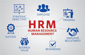 human-resource-job-summary